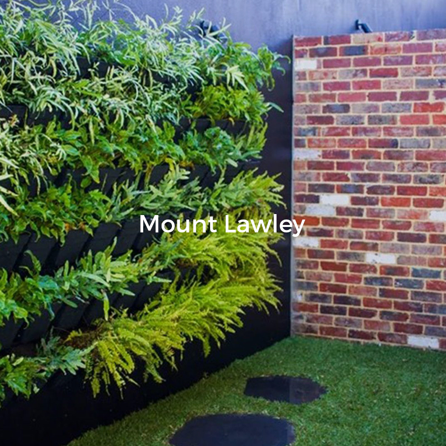 Mount Lawley - Boutique Timeless Landscaping